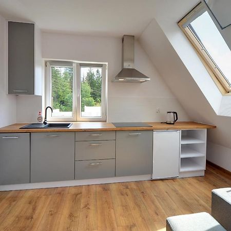 Mega Widok Apartman Szklarska Poręba Kültér fotó